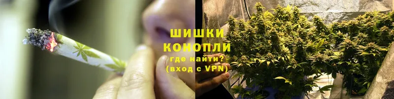 Шишки марихуана Amnesia  где купить наркоту  Белоярский 